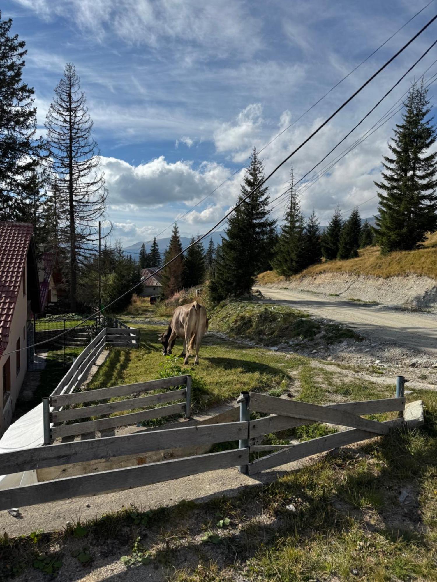 Casa Hai la Ranca Bagian luar foto